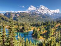 Mt. Rainier