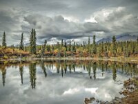 Fall Color Reflection