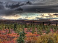 Alaska Scenic 07 img 2016 17 18