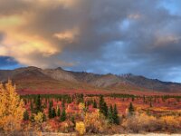 Alaska Scenic 20 img 2053 54 55