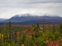 Alaska Scenic 23