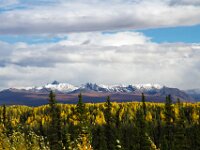 Alaska Scenic 24