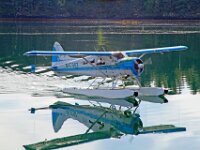 Dehavilland Beaver 02