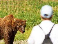 Group Bear 01