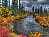 Wrangell River 01