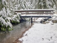 Snow Bridge
