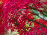 Abstract 01