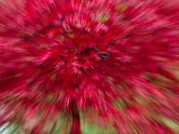 Abstract 05