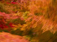 Abstract 07
