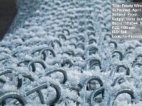 2012 04 FrostryWire