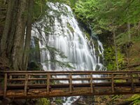 Ramona Falls 01 MG 9510
