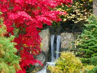 Japanese Garden 02